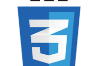 css3